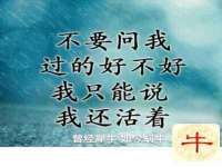 上海润憧信息技术中心
