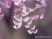 上海润憧信息技术中心