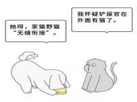 上海润憧信息技术中心