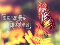 上海润憧信息技术中心