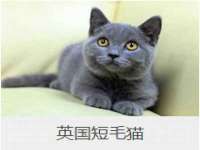 上海润憧信息技术中心