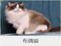 上海润憧信息技术中心