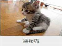 上海润憧信息技术中心
