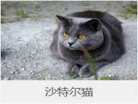 上海润憧信息技术中心