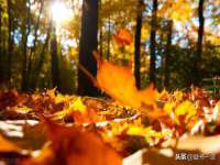 上海润憧信息技术中心