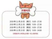 上海润憧信息技术中心