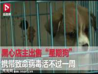 上海润憧信息技术中心