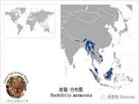 上海润憧信息技术中心