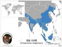 上海润憧信息技术中心