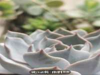 上海润憧信息技术中心