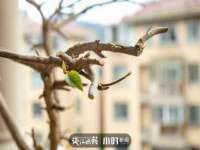 上海润憧信息技术中心