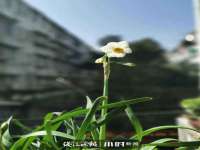 上海润憧信息技术中心