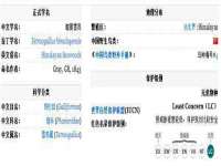 上海润憧信息技术中心
