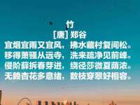 上海润憧信息技术中心