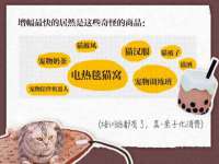 上海润憧信息技术中心