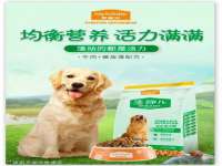 上海润憧信息技术中心