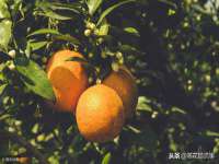 上海润憧信息技术中心