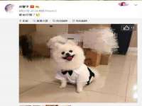 上海润憧信息技术中心