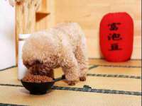 上海润憧信息技术中心