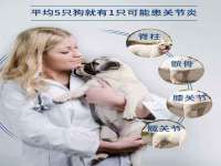上海润憧信息技术中心