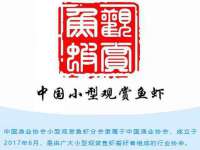 上海润憧信息技术中心