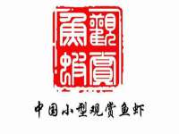 上海润憧信息技术中心