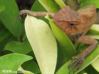 上海润憧信息技术中心