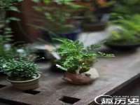 上海润憧信息技术中心