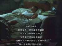 上海润憧信息技术中心