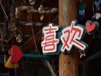 上海润憧信息技术中心