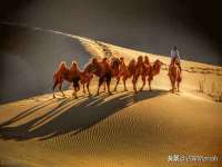 上海润憧信息技术中心