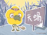 上海润憧信息技术中心