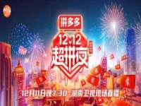 上海润憧信息技术中心