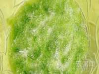 上海润憧信息技术中心