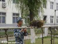 上海润憧信息技术中心