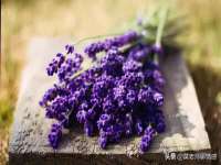 上海润憧信息技术中心