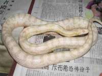上海润憧信息技术中心