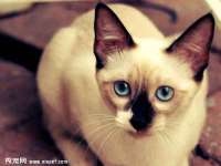 上海润憧信息技术中心